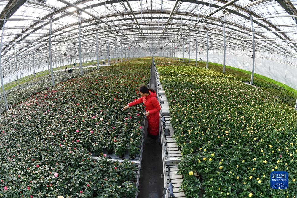 ???? ?????? ?? ??????? ?????? ???? ????????