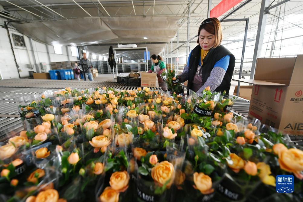 ???? ?????? ?? ??????? ?????? ???? ????????