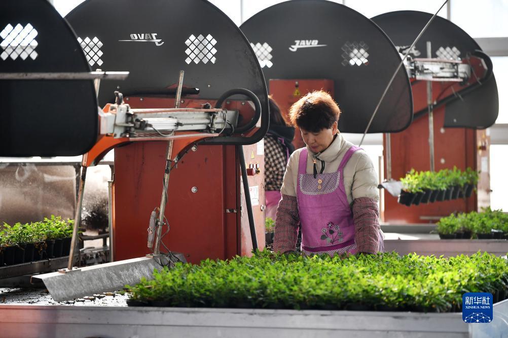 ???? ?????? ?? ??????? ?????? ???? ????????