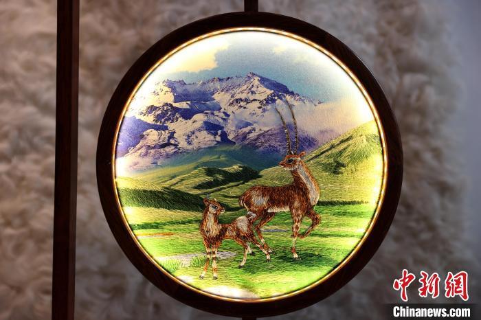 ????? ?????? ?? ??????? ???? ?? ??? ????? ???? ????????-?????