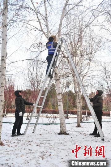 ?????????: ?????? ???? ??????? ??? ???? ?????? ?????? ??? ??? ?????? ?? ??? ??????