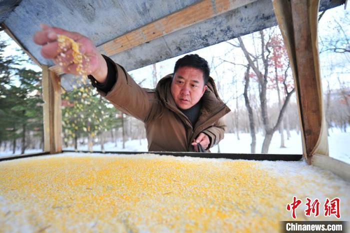 ?????????: ?????? ???? ??????? ??? ???? ?????? ?????? ??? ??? ?????? ?? ??? ??????