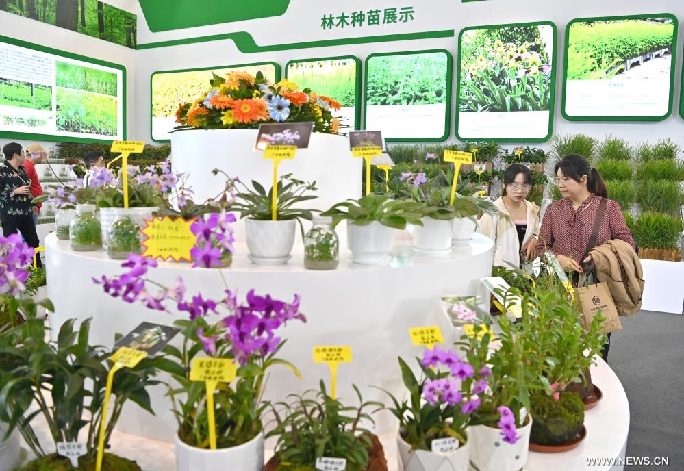 ??????? ??????? ????? ?????? ??????? ???? ????? ????? ??? 5.6 ????? ????? ??????