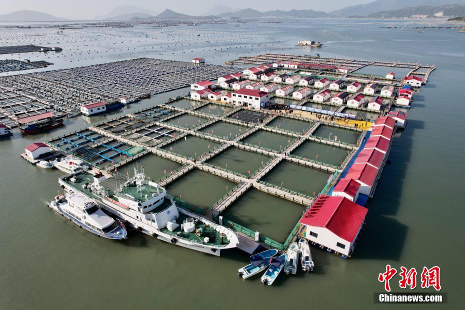 ?????? ??????? ?? ?????? ????? ??????? ??????