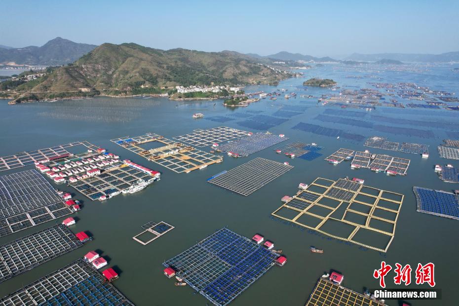 ?????? ??????? ?? ?????? ????? ??????? ??????