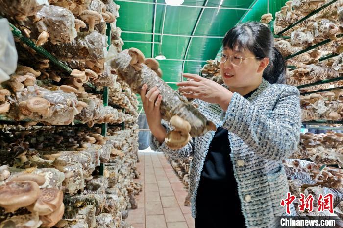 ??????? ??????:????? ??? ??? ????? ????????? ????? ?? ????? ????? ???????? ??????? ?????