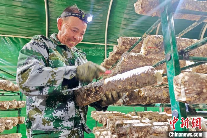 ??????? ??????:????? ??? ??? ????? ????????? ????? ?? ????? ????? ???????? ??????? ?????