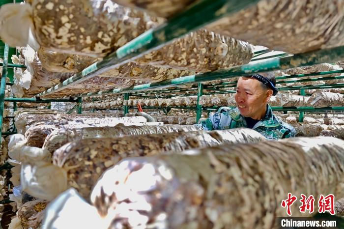 ??????? ??????:????? ??? ??? ????? ????????? ????? ?? ????? ????? ???????? ??????? ?????