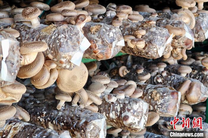 ??????? ??????:????? ??? ??? ????? ????????? ????? ?? ????? ????? ???????? ??????? ?????