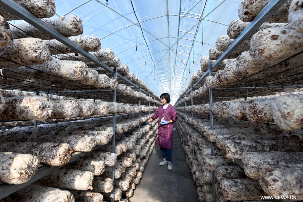 ????? ????? ?????? ????? ????? ??? ????? ???? ????????? ?? ???? ???? ?????