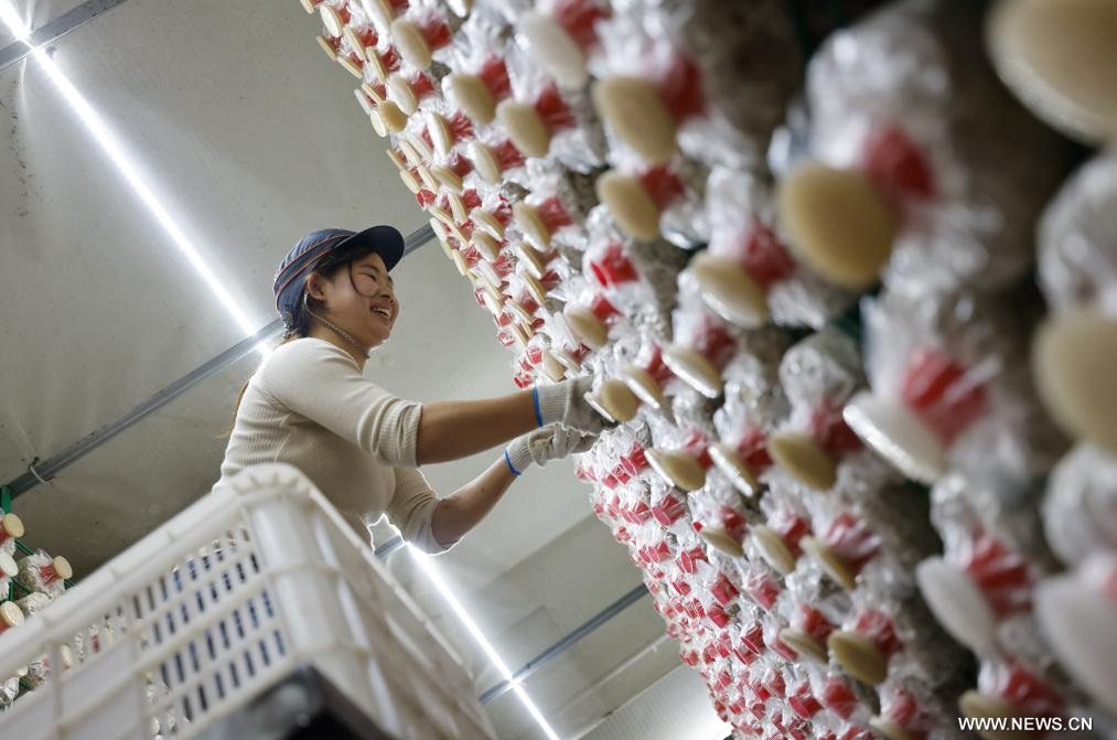 ????? ????? ?????? ????? ????? ??? ????? ???? ????????? ?? ???? ???? ?????