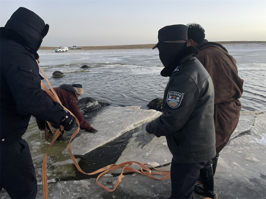 ???? ???????? ???? ??? ?? ????? ?? ????? ??????