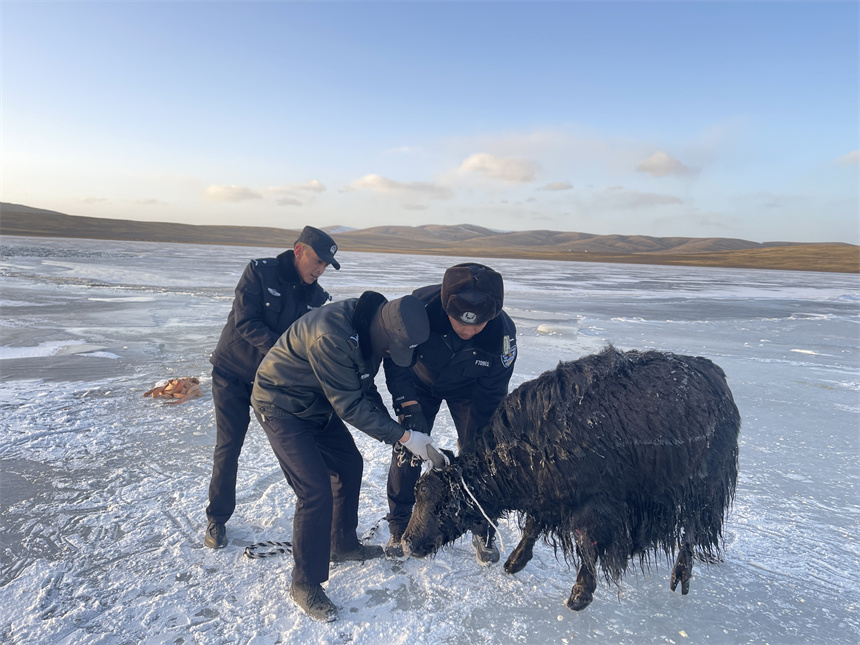 ???? ???????? ???? ??? ?? ????? ?? ????? ??????