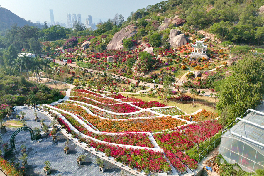 ????? ????? ???? ?????? ?????????