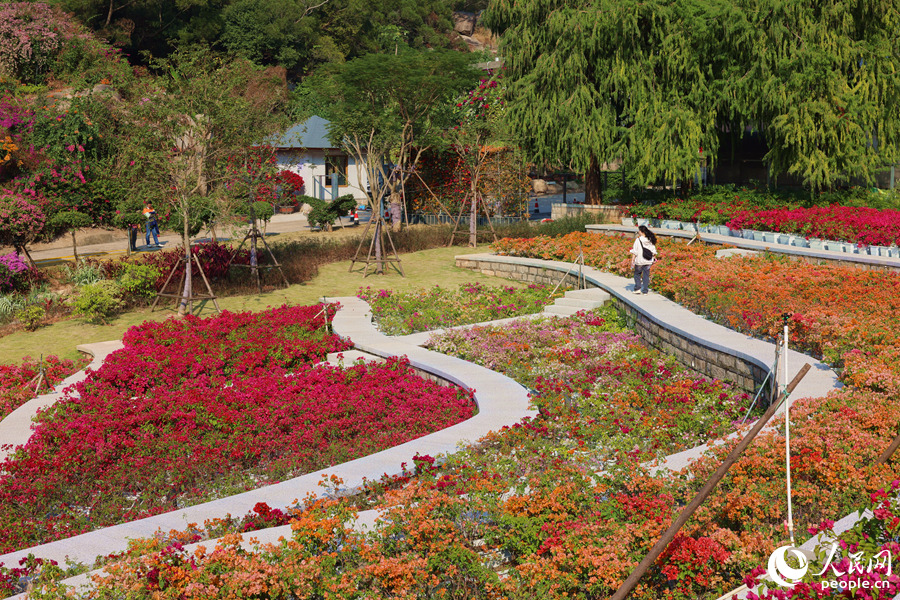 ????? ????? ???? ?????? ?????????