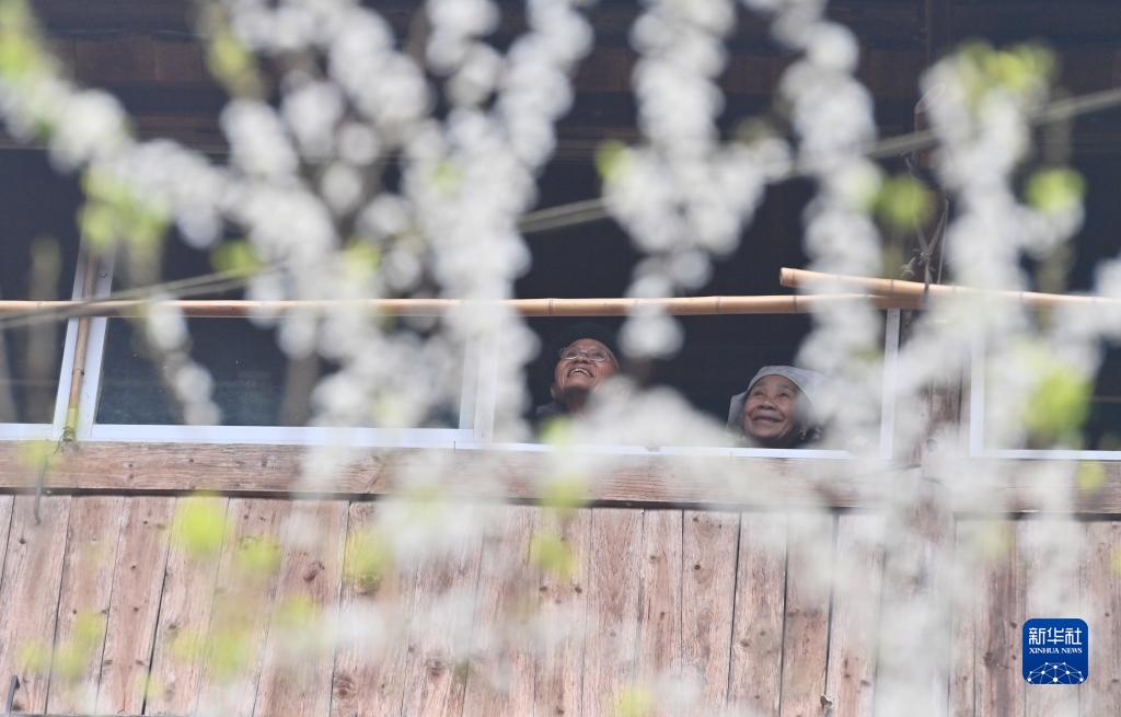 ?????? ???????? ???????? ??????? ?? ???? ?????? ?????? ????