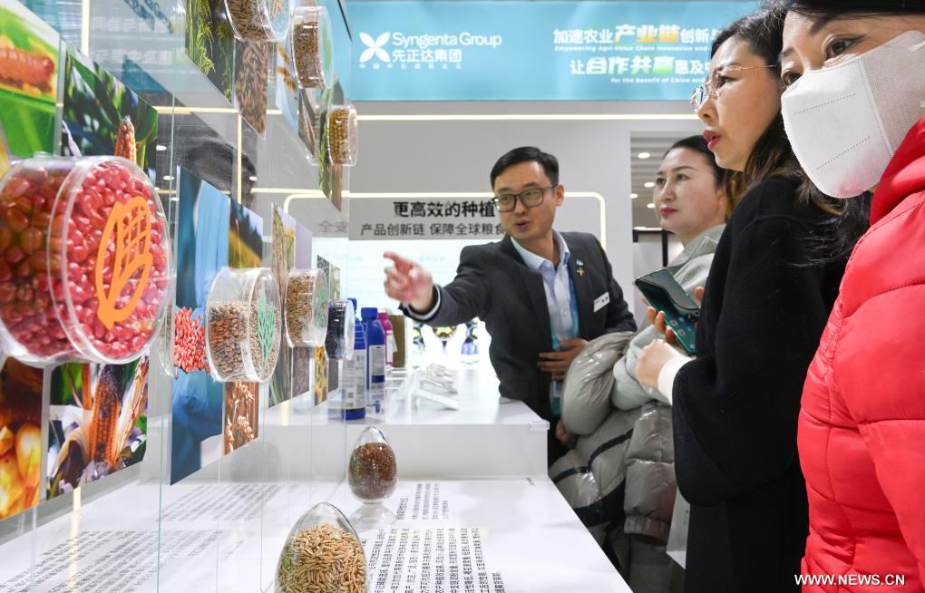 ????? ?? ???? ????? ?????? ?????? ??????? ?? ????