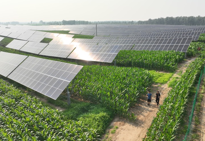 ???? ????? ?????? ??????? ??? ????? ????? ???? ?? ???? ?????? ???????