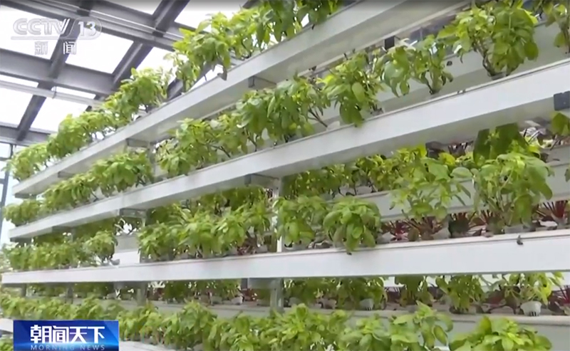 ????? ???? ??? ???? ???????? ???????? ??? ??????? ?? 20 ??????