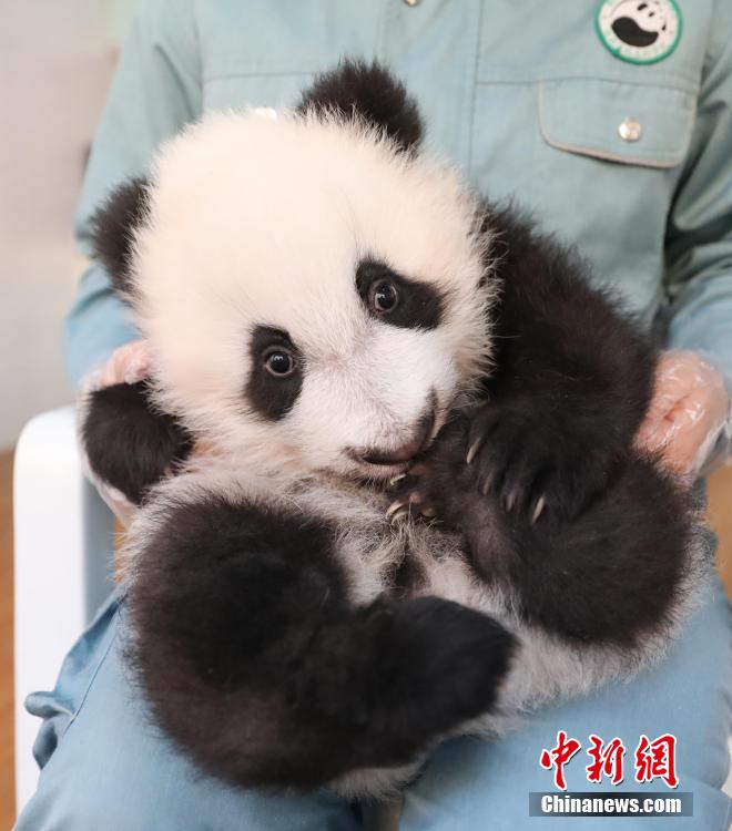 ????? ???????? ??????? ?????? ?? 7 ???? ????? ?? 2023