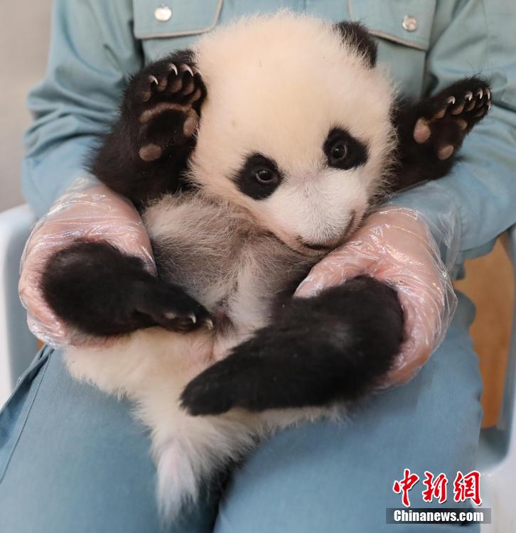 ????? ???????? ??????? ?????? ?? 7 ???? ????? ?? 2023