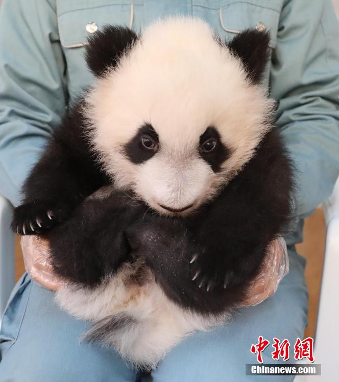 ????? ???????? ??????? ?????? ?? 7 ???? ????? ?? 2023