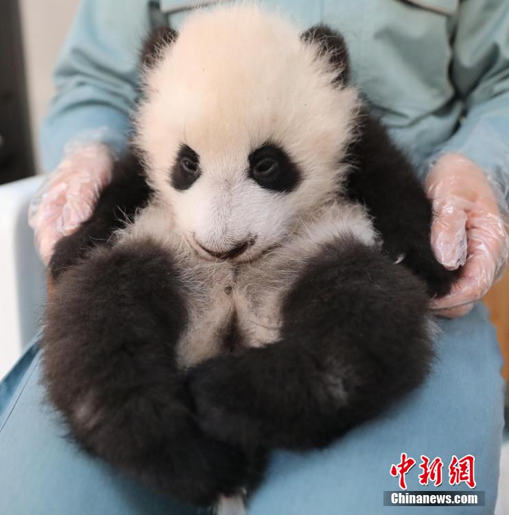 ????? ???????? ??????? ?????? ?? 7 ???? ????? ?? 2023