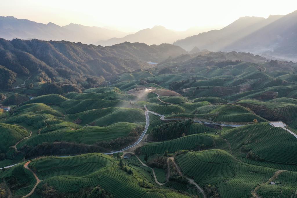 ??????: ???? ?????? ??? ?? ??? ?????