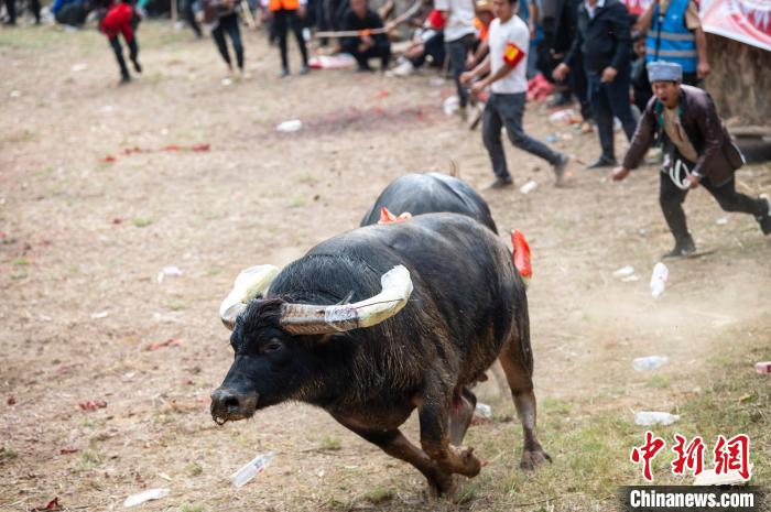 ?????? ??????? ?? ??????? ????? ????? ???? ????? ?? 2000 ???