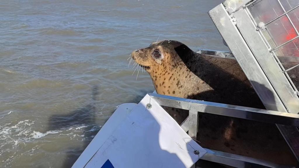 ????? ???? 23 ???? ????? ?? ??????? ?????? ??????? ??? ??????