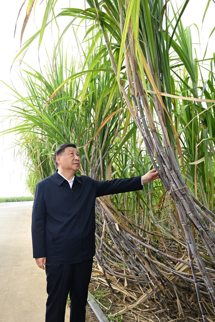 ?? ????? ????? ?????? ?? ??????? ?????? ?????