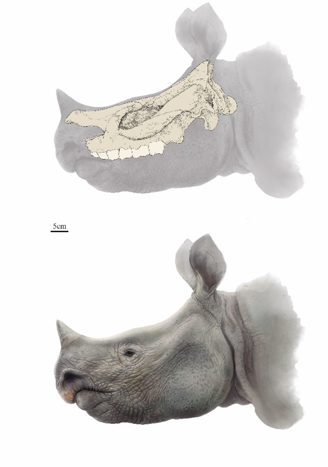 ???? ??? .. ????? ?????? ??????? ????? ????? ????? ???? ??????? ??14 ????? ??? ?? ???? ????