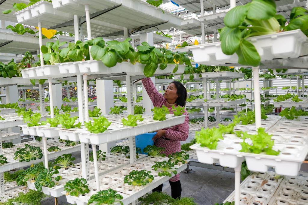 ??????? ?????? ?? ????????