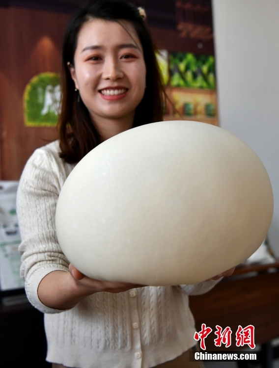 ????? ??????? ??????? ????? ???? ???????? ???????? ?? ???? ???? ?????