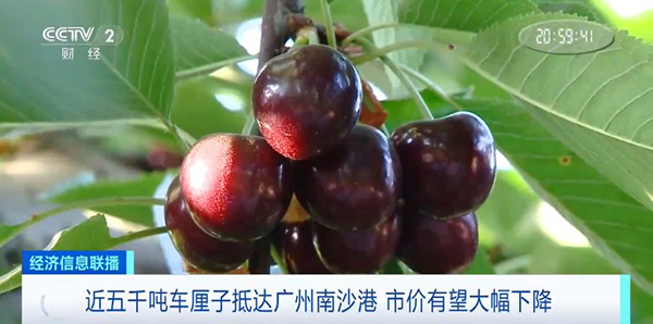 ???? 4800 ?? ?? ????? ??????? ??? ??????????????? ??? ????? ??????? ??????