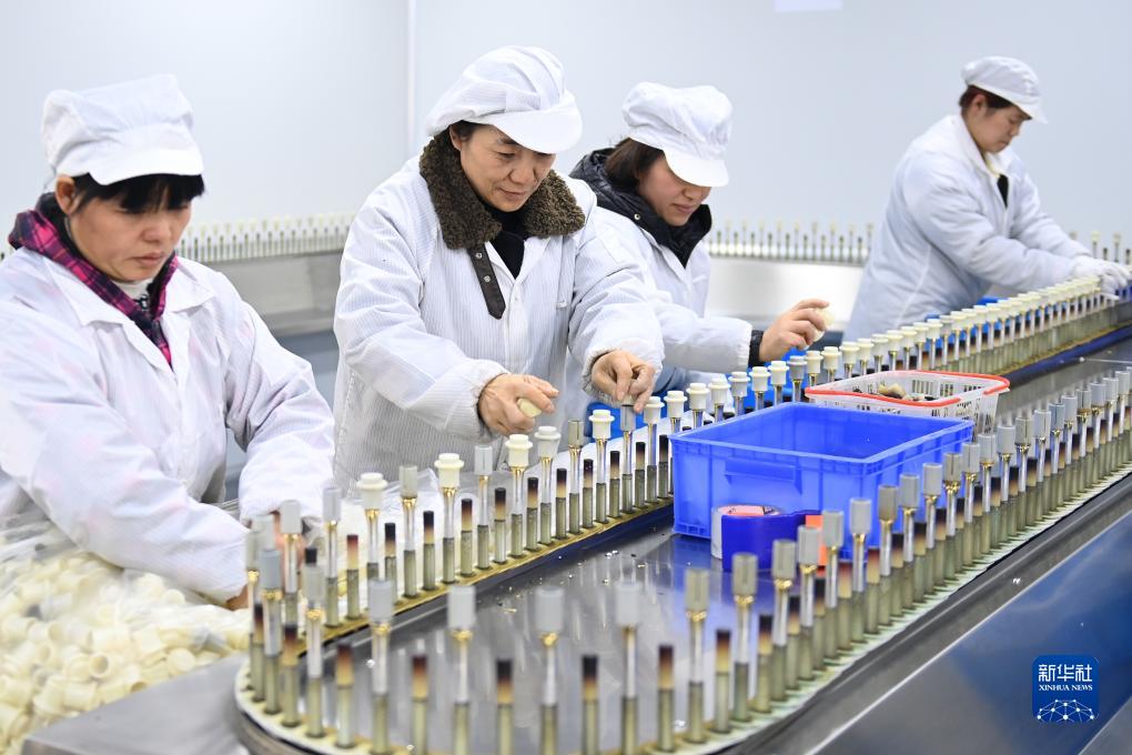 ?????? ???????: ???? ??????? ???? ?????? ??????? ??? ????? ??????