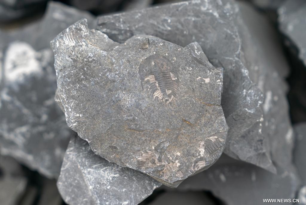 ??? ?????? ?????? ??????? ... ????? ????? ???? ???? ???? ?? ???? ???? ?????