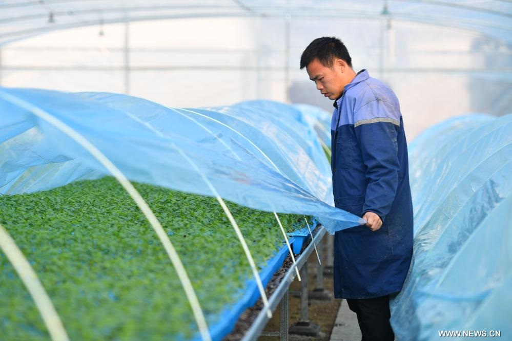 ????? ??????? ????? ????????? ?? ??? ?????