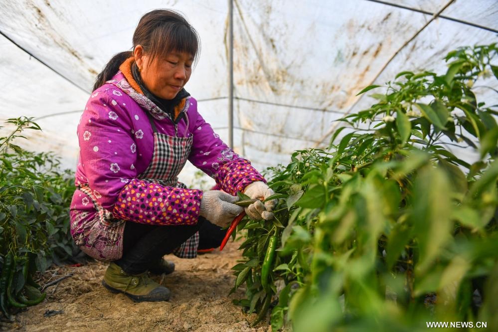 ????? ??????? ????? ????????? ?? ??? ?????