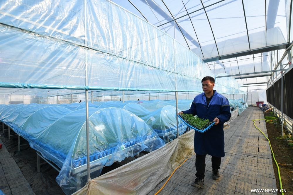 ????? ??????? ????? ????????? ?? ??? ?????