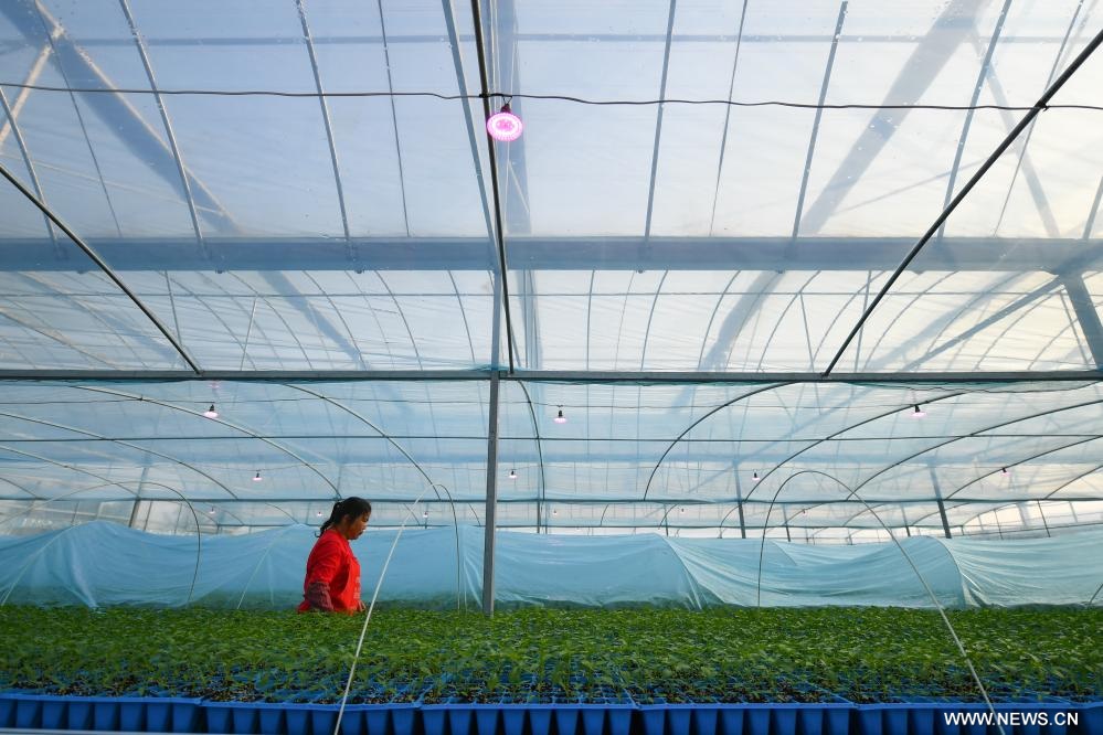 ????? ??????? ????? ????????? ?? ??? ?????