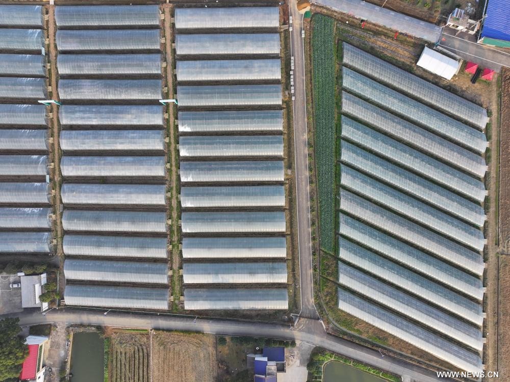 ????? ??????? ????? ????????? ?? ??? ?????