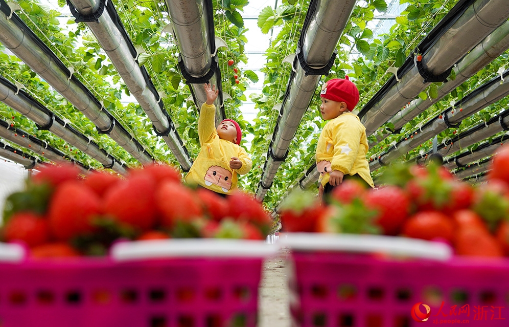 ????????? ???????: ?????? ??????? ?? ??? ???????? ???????