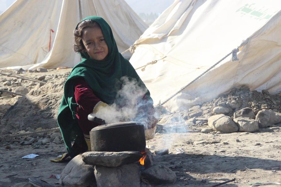 ????? ??????: 800 ??? ???? ?????? ????? ??? ????? ??? ??????