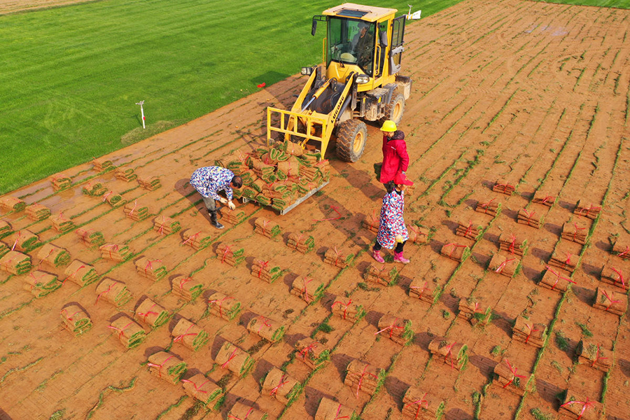 ?????? ???????: ???? ???? ?????