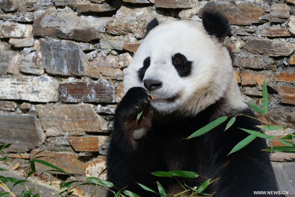 ??????? ???????? ??????? ?? ???????? ??????? ????? ???????? ??? ????? ??? ?????