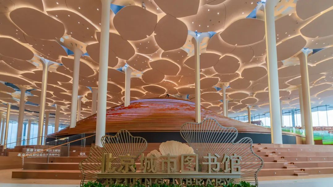 ????? 100 ??? ??? ????? ????? ????? ???? ???? ???? ????? ???????