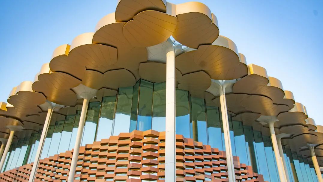 ????? 100 ??? ??? ????? ????? ????? ???? ???? ???? ????? ???????