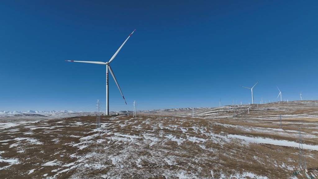 ??????: ????? ???? ?? ????? ??????? ?????? ??????? ???????