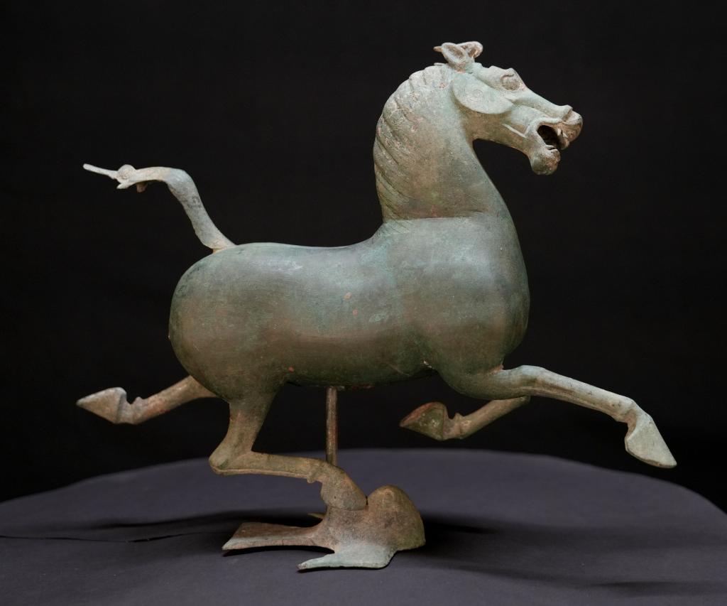 ??????: ?????? ???????? ?????? ??? ??????? ???????